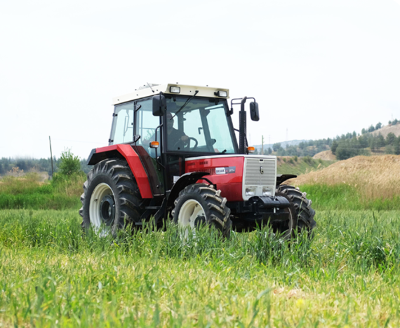 BASAK 2075